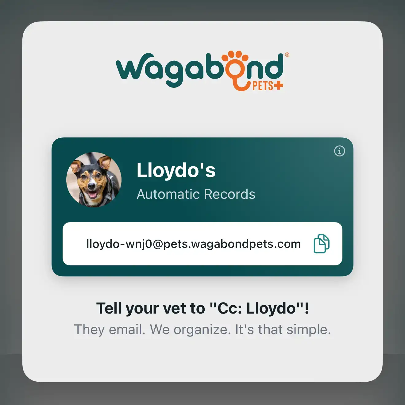 Pet email feature — vet records automatically added to your pet's profile