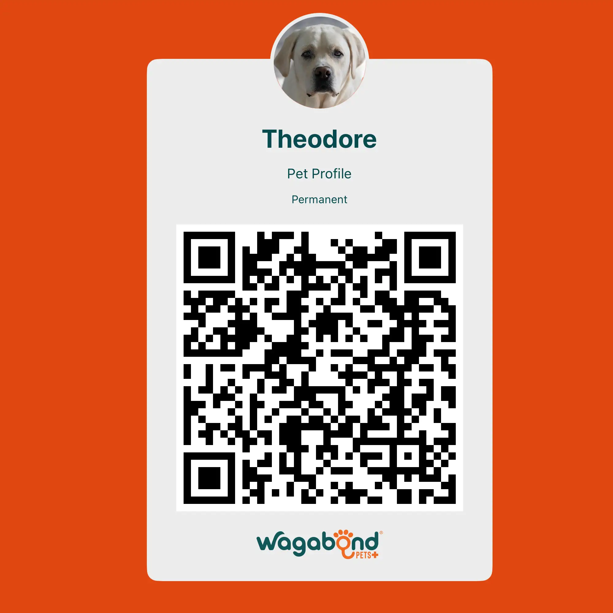 Instant Pet Sitter Profiles