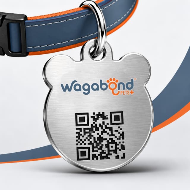 Engraved brushed-steel Wagabond pet tag with a QR code that links to the pet's profile