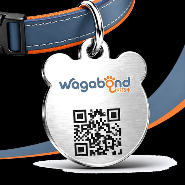 Engraved metal Wagabond pet tag with a QR code that links to the pet's profile