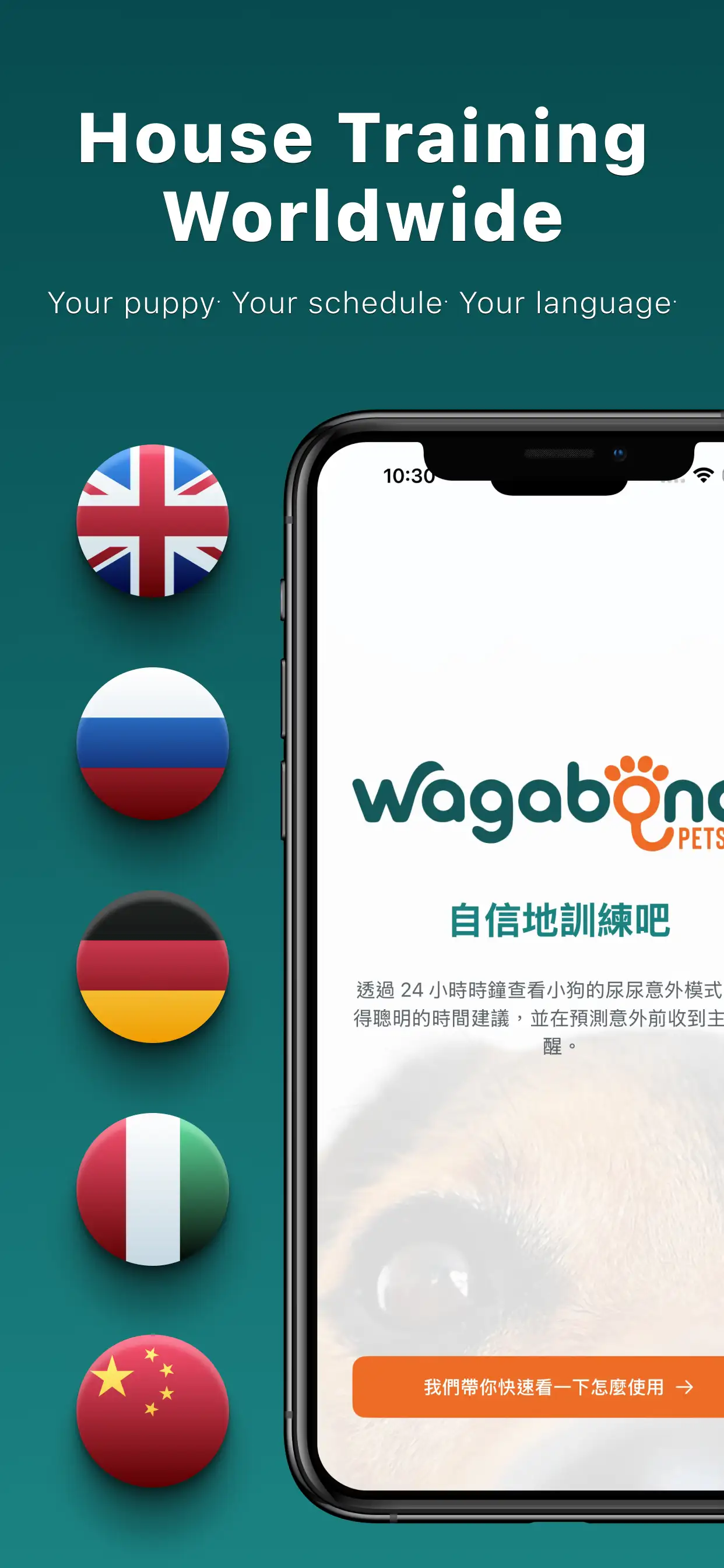 Puppy Potty Trainer screenshot 5