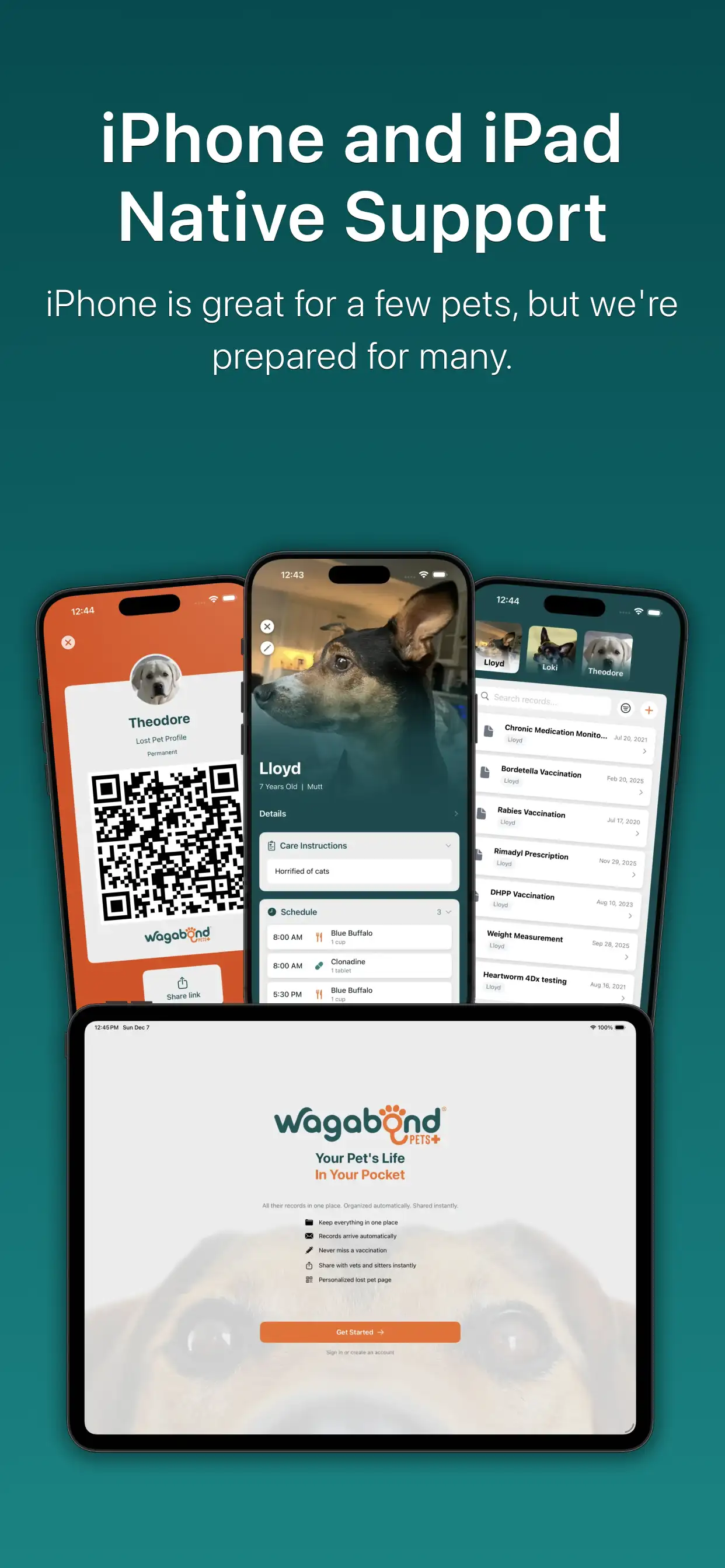 Wagabond Pets screenshot 9